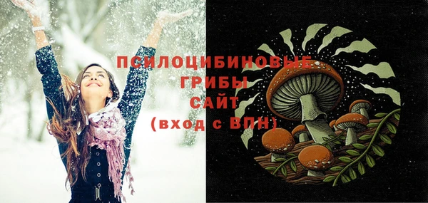 соль ск Верхнеуральск