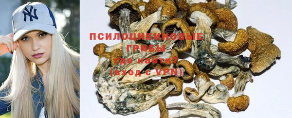 мескалин Бородино